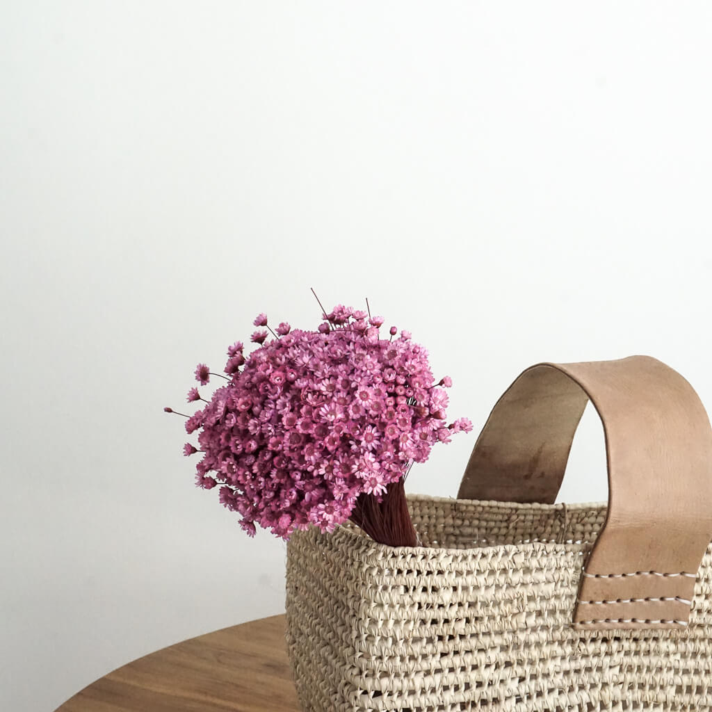 Glixia - Gänseblümchen | 50 cm - Farbe: pink ; 1 großer Bund