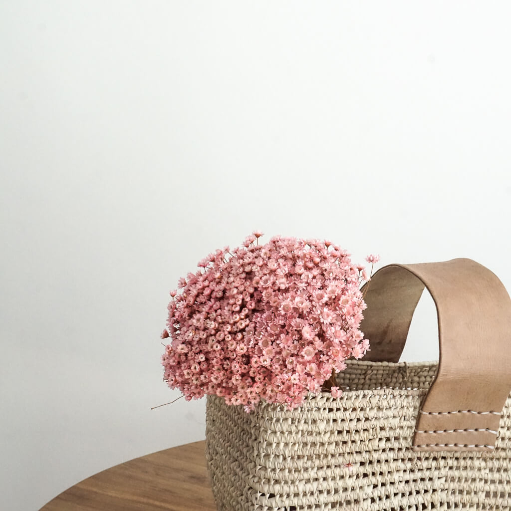 Glixia - Gänseblümchen | 50 cm - Farbe: rosa ; 1 großer Bund