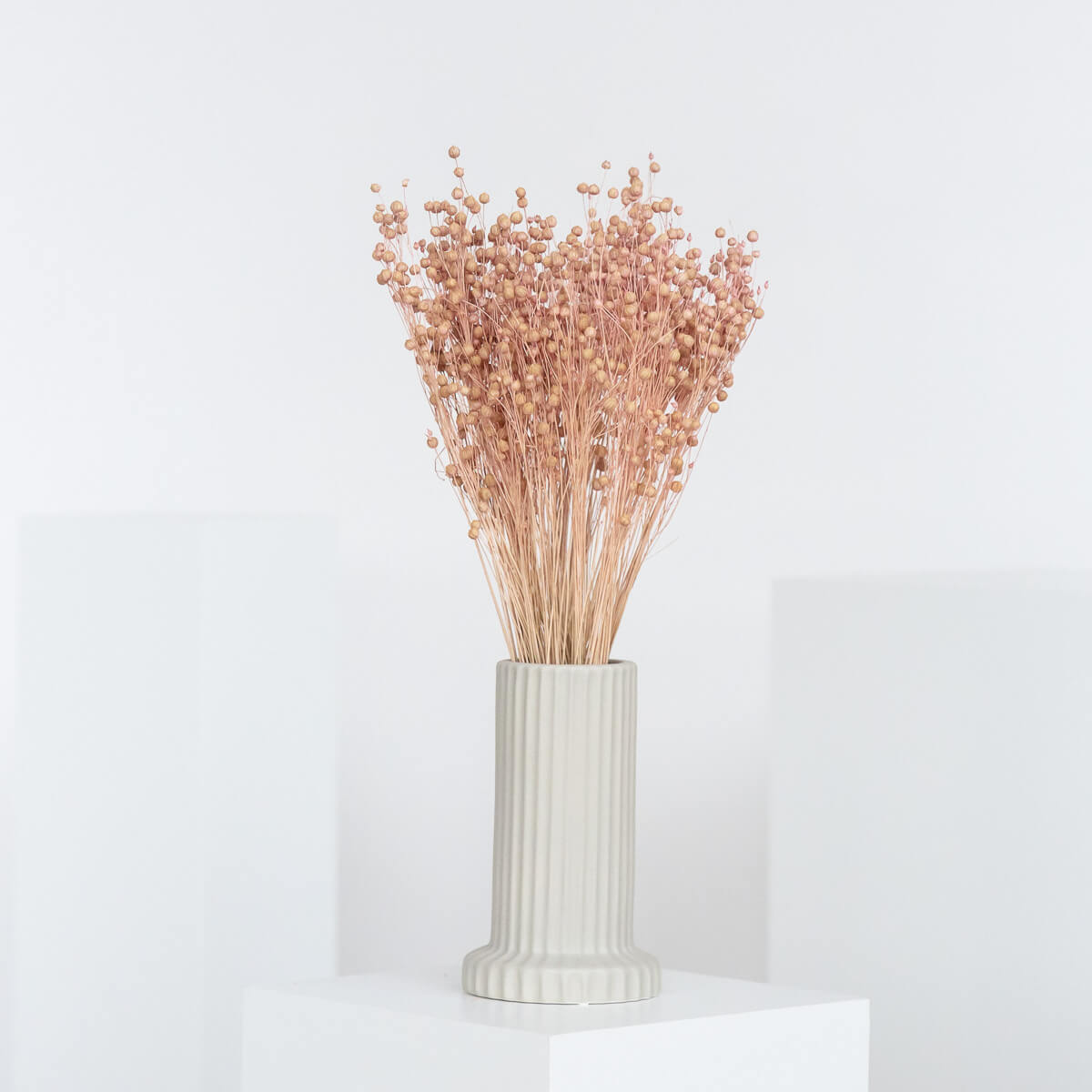 Flachs | Linum - Lykke&You GmbH