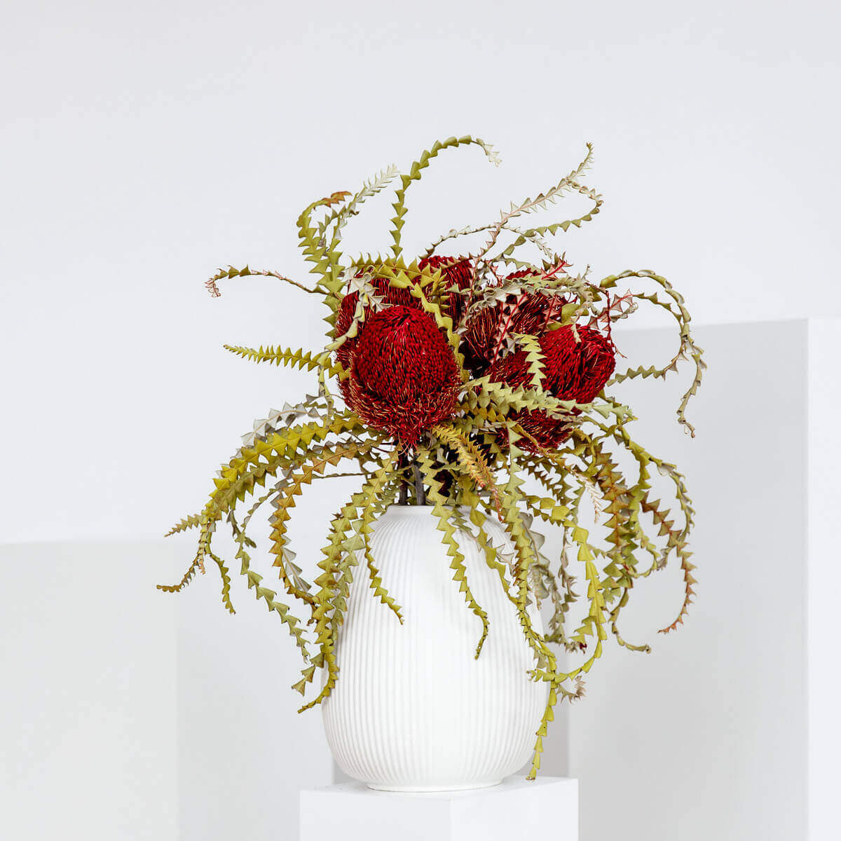 Trockenblume Banksia wild - Lykke&You GmbH