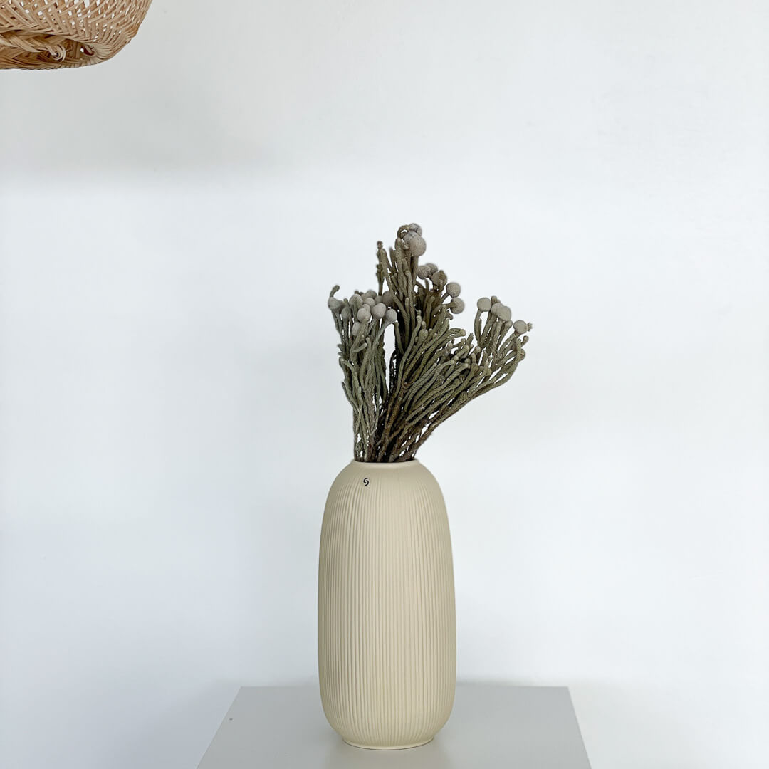 Brunia Albiflora - Lykke&You GmbH