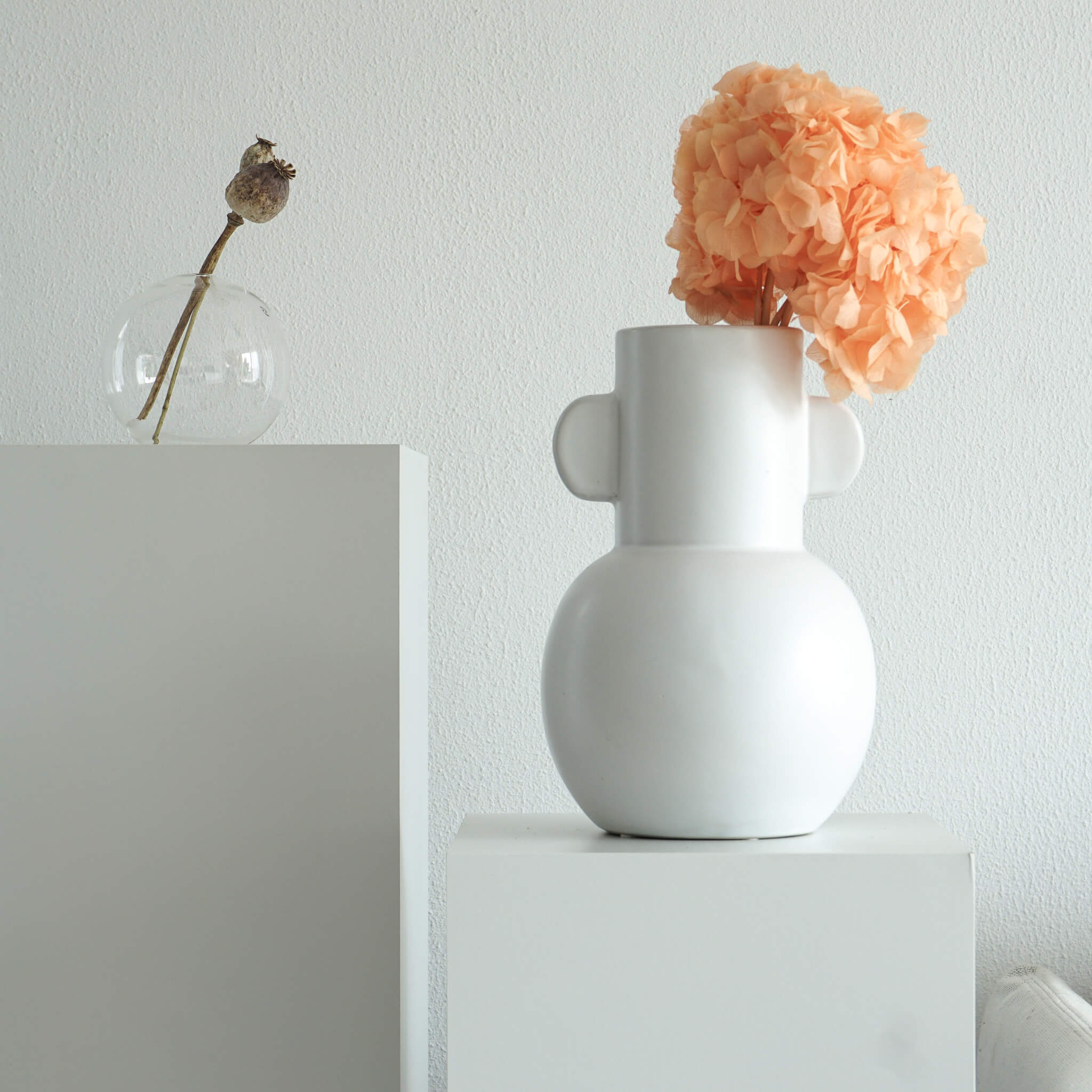 Hortensien konserviert | viele Farben | tolle Blüte | 30 cm - Farbe: apricot