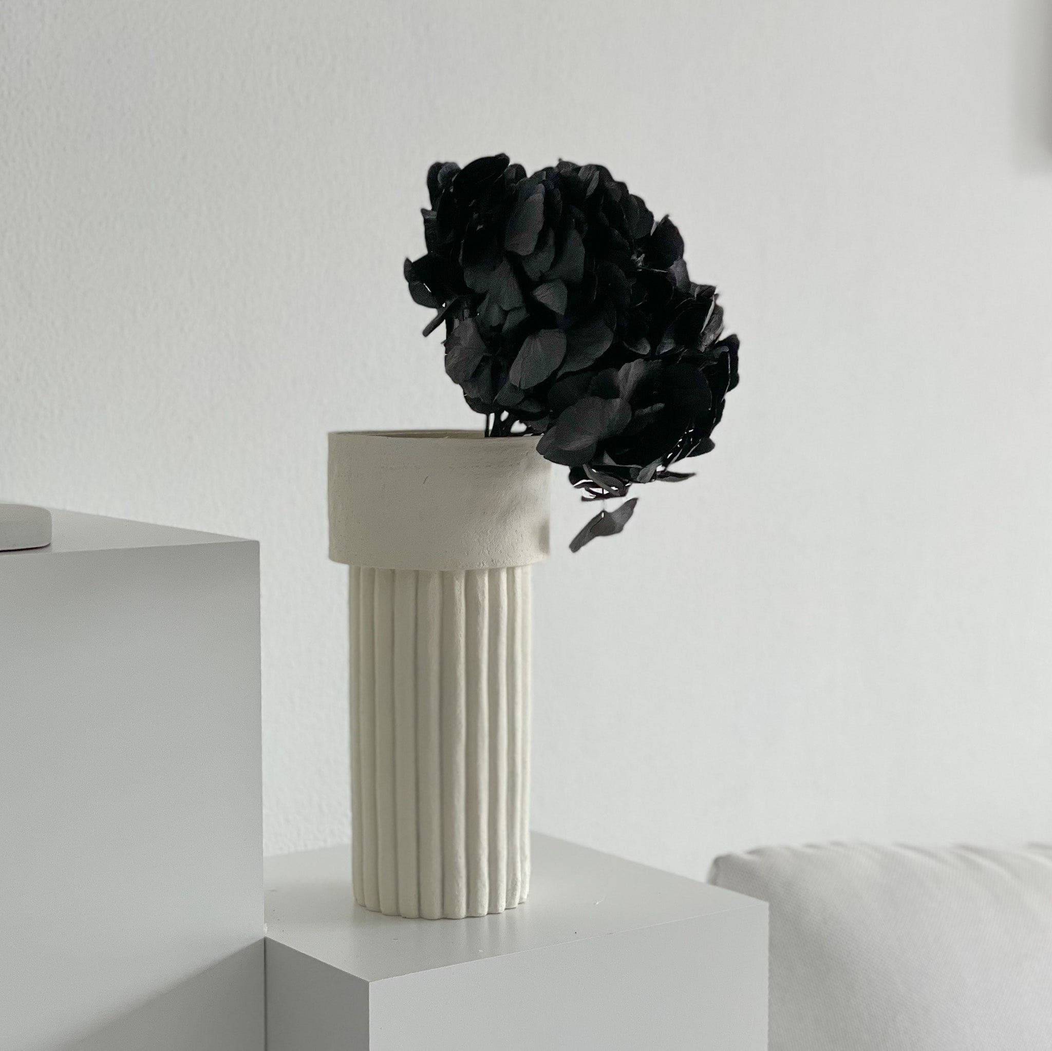 Hortensien konserviert | viele Farben | tolle Blüte | 30cm - Farbe: schwarz