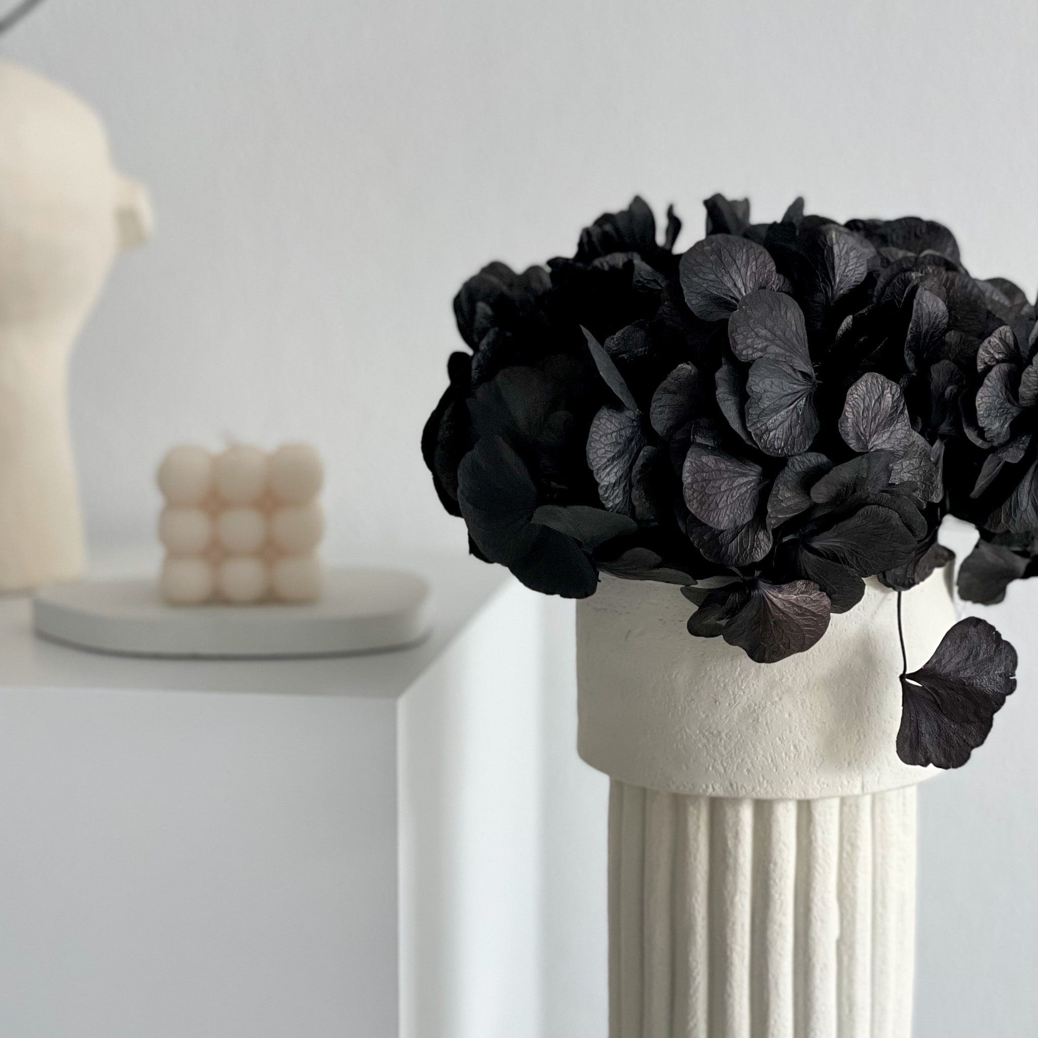 Hortensien konserviert | viele Farben | tolle Blüte | 30 cm - Farbe: schwarz