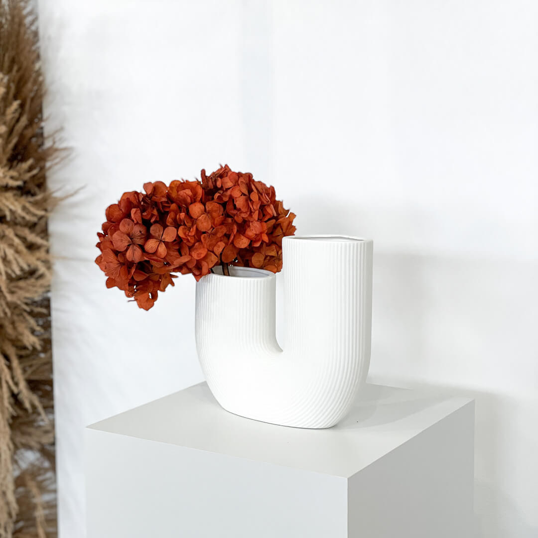 rot 30cm