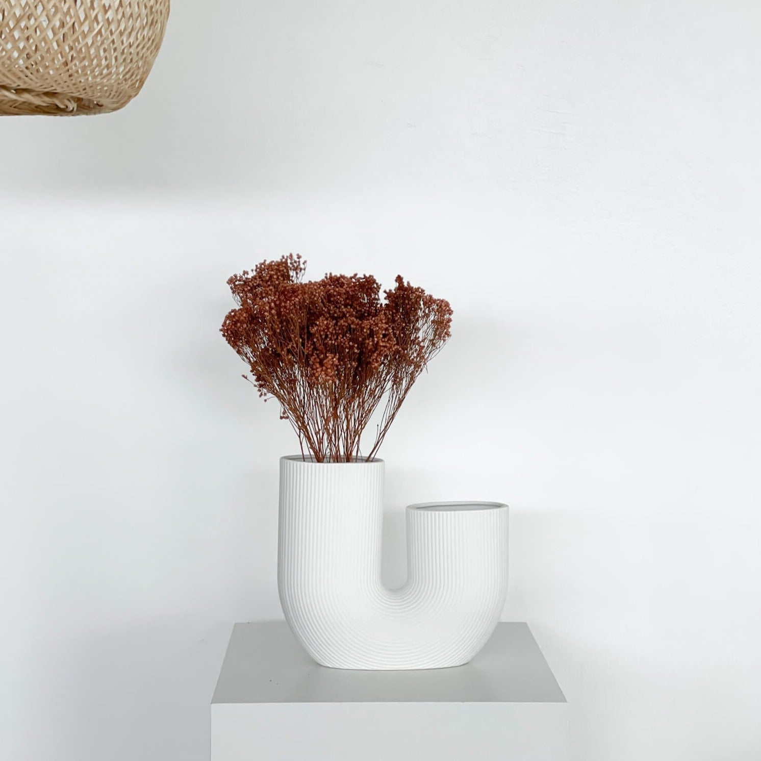 Broom Bloom | 40-50 cm | - Farbe: braun