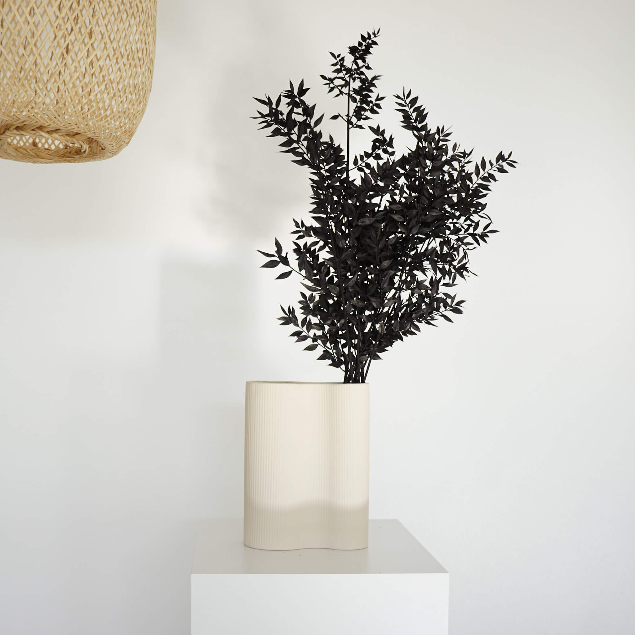 Ruskus | 60-75 cm | schwarz | perfekt für Trockenblumensträuße - Größe: 1x