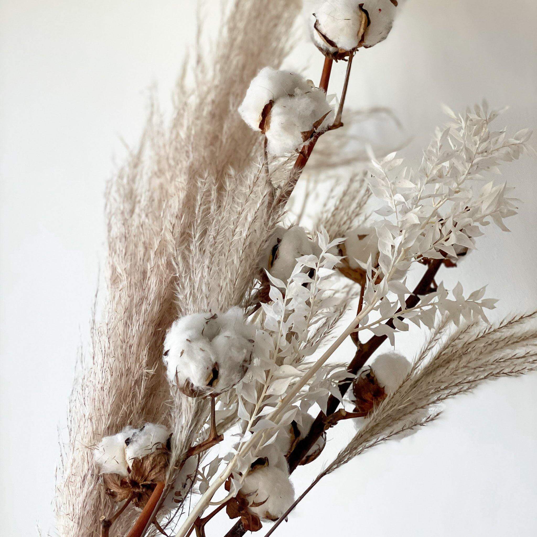 Arrangement of cotton blooms and dried grasses in soft neutral tones, perfect for home decor styling.