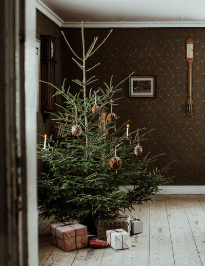 BOLMSÖ Weihnachtsanhänger braun