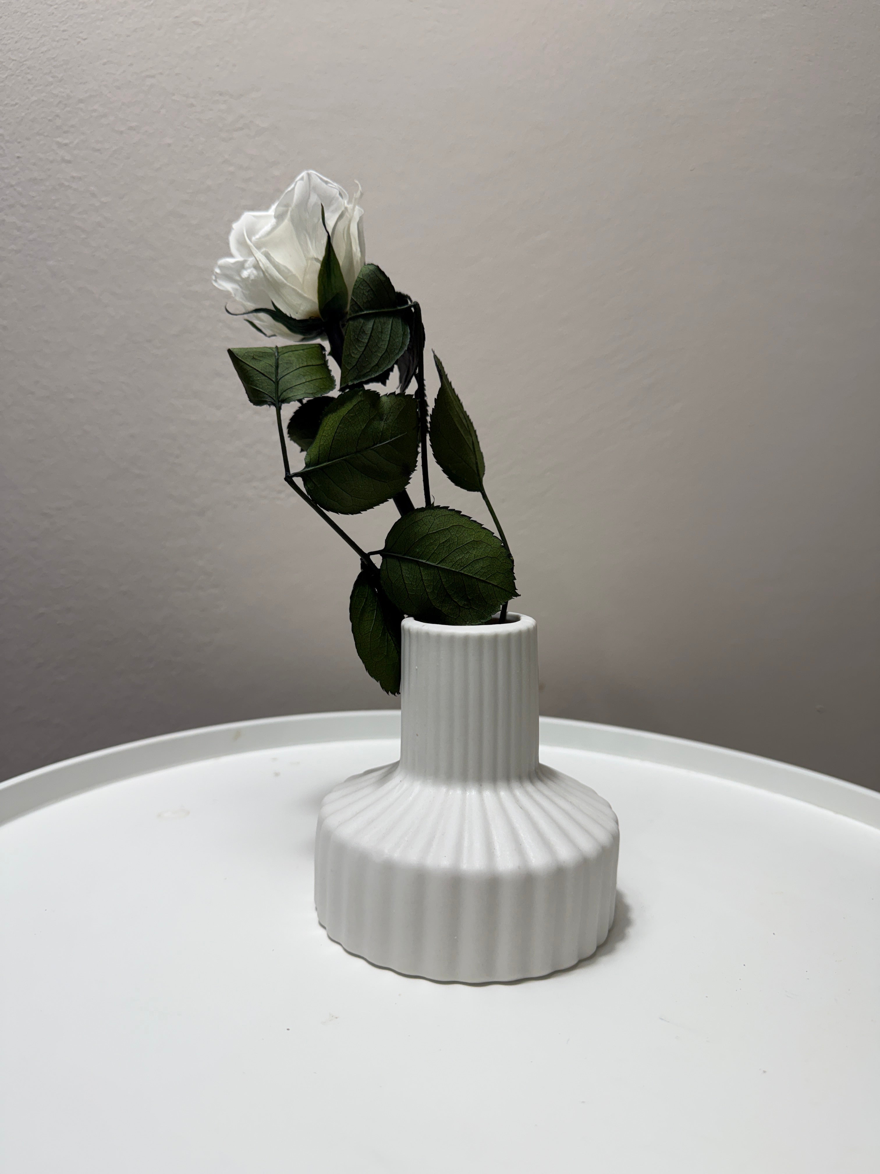 Konservierte/gefriergetrocknete, Rosen: Zeitlose Eleganz für die Ewigkeit