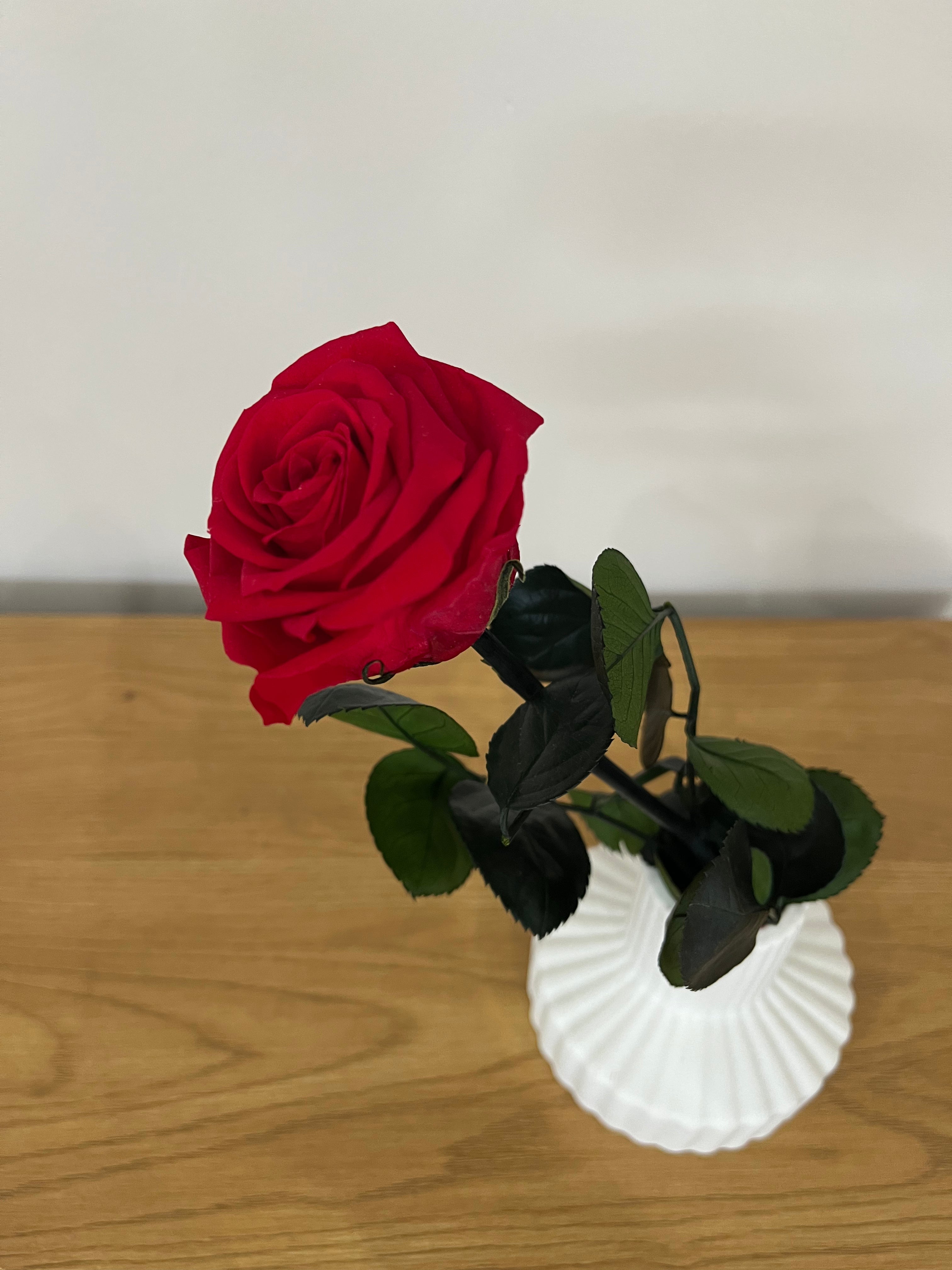 Konservierte/gefriergetrocknete, Rosen: Zeitlose Eleganz für die Ewigkeit