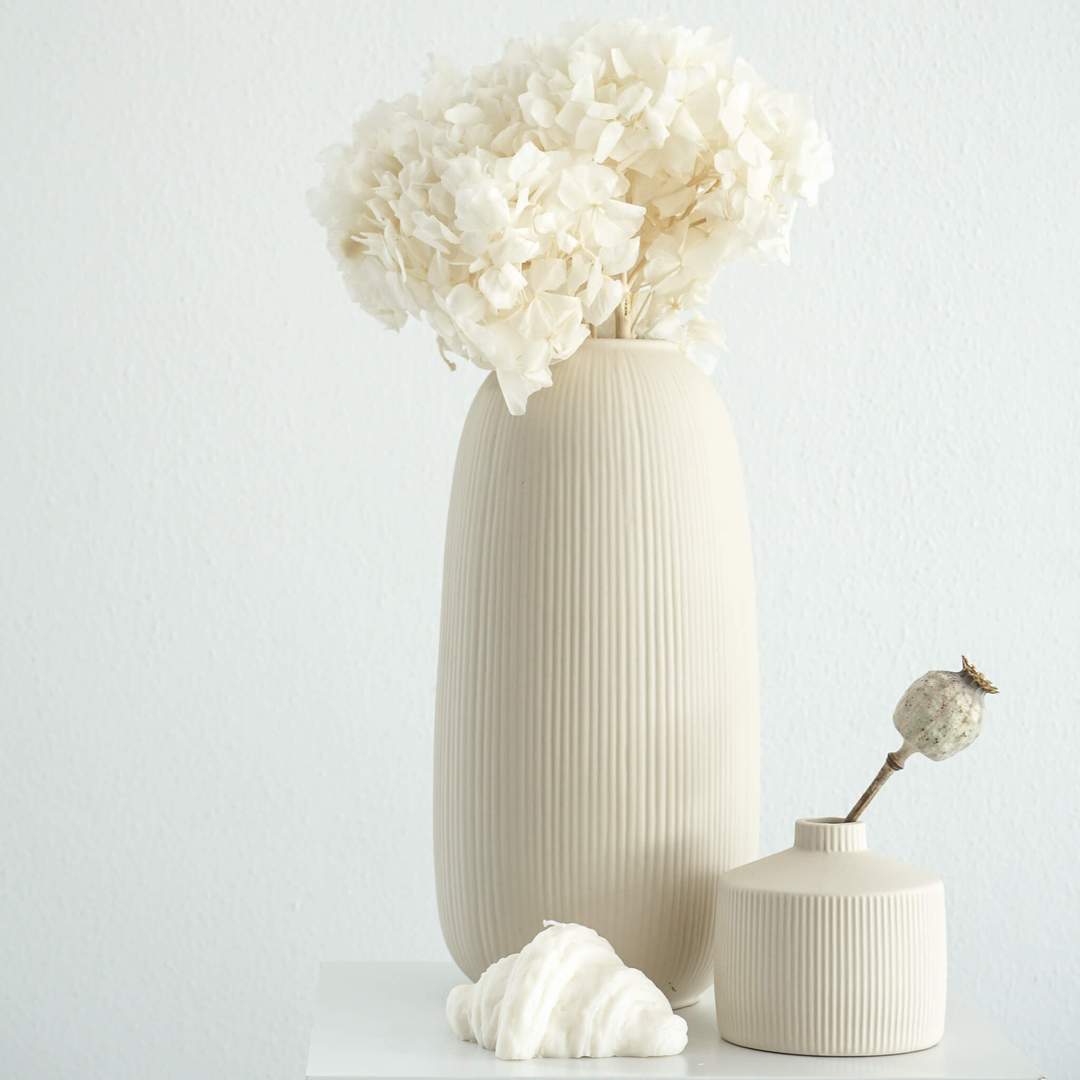 Trockenblumen, Trockenblumen in Vase, Weiß, vor Wand, mit Hortensie und Mohnkapsel - Lykke & You
