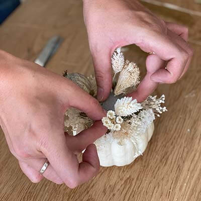 DIY Kürbis mit Steckschaum füllen