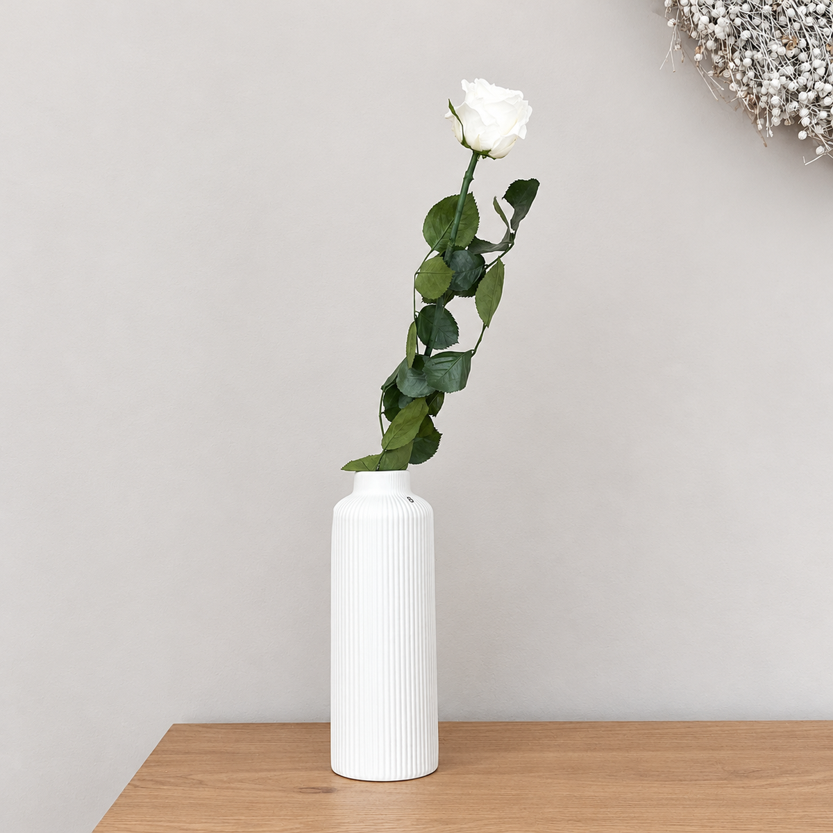 Konservierte/gefriergetrocknete, Rosen: Zeitlose Eleganz für die Ewigkeit