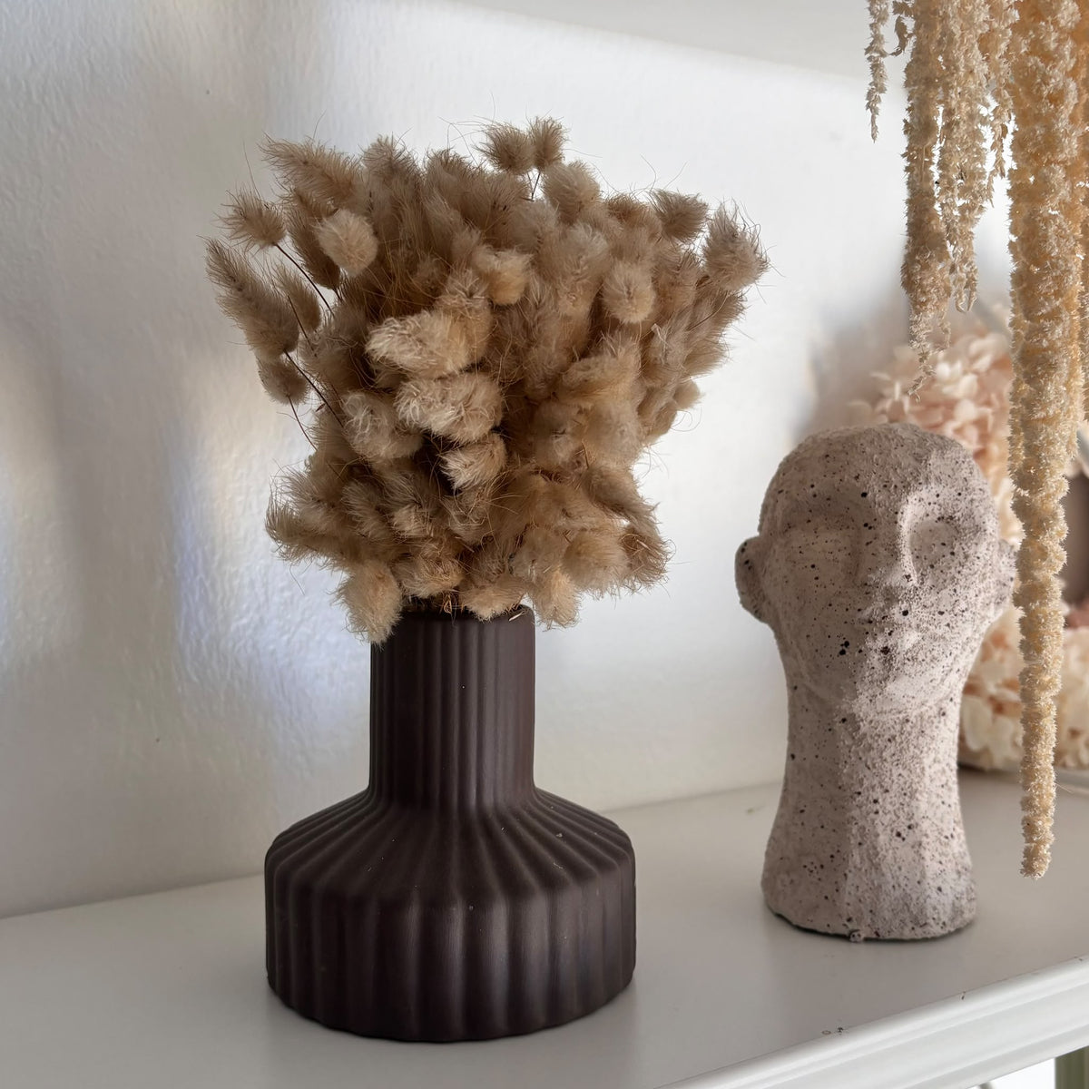 Lagurus Mini Bund beige - OUTLET