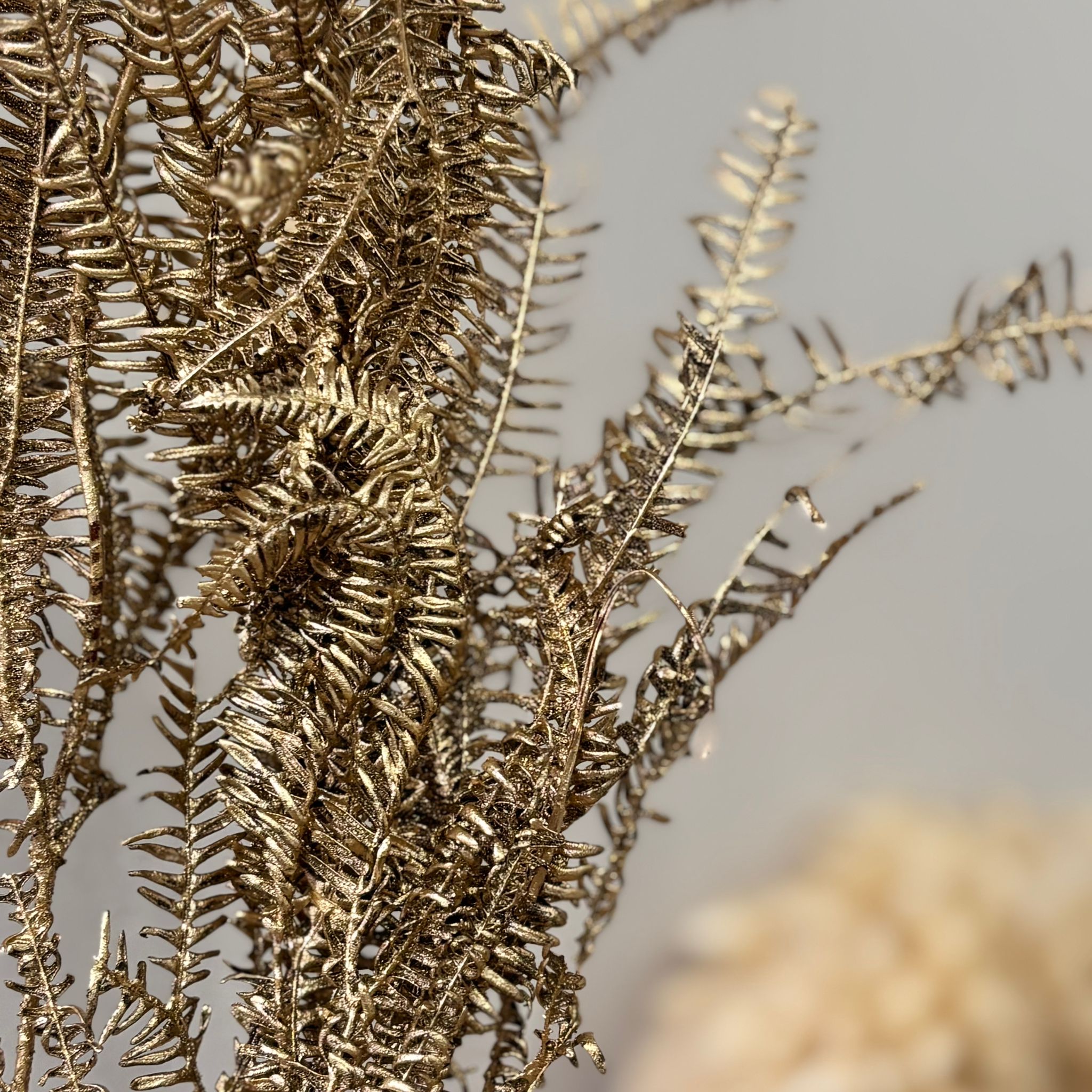 Konservierter Farn: Zauberhafte Momente für Dein Zuhause - Lykke&You GmbH