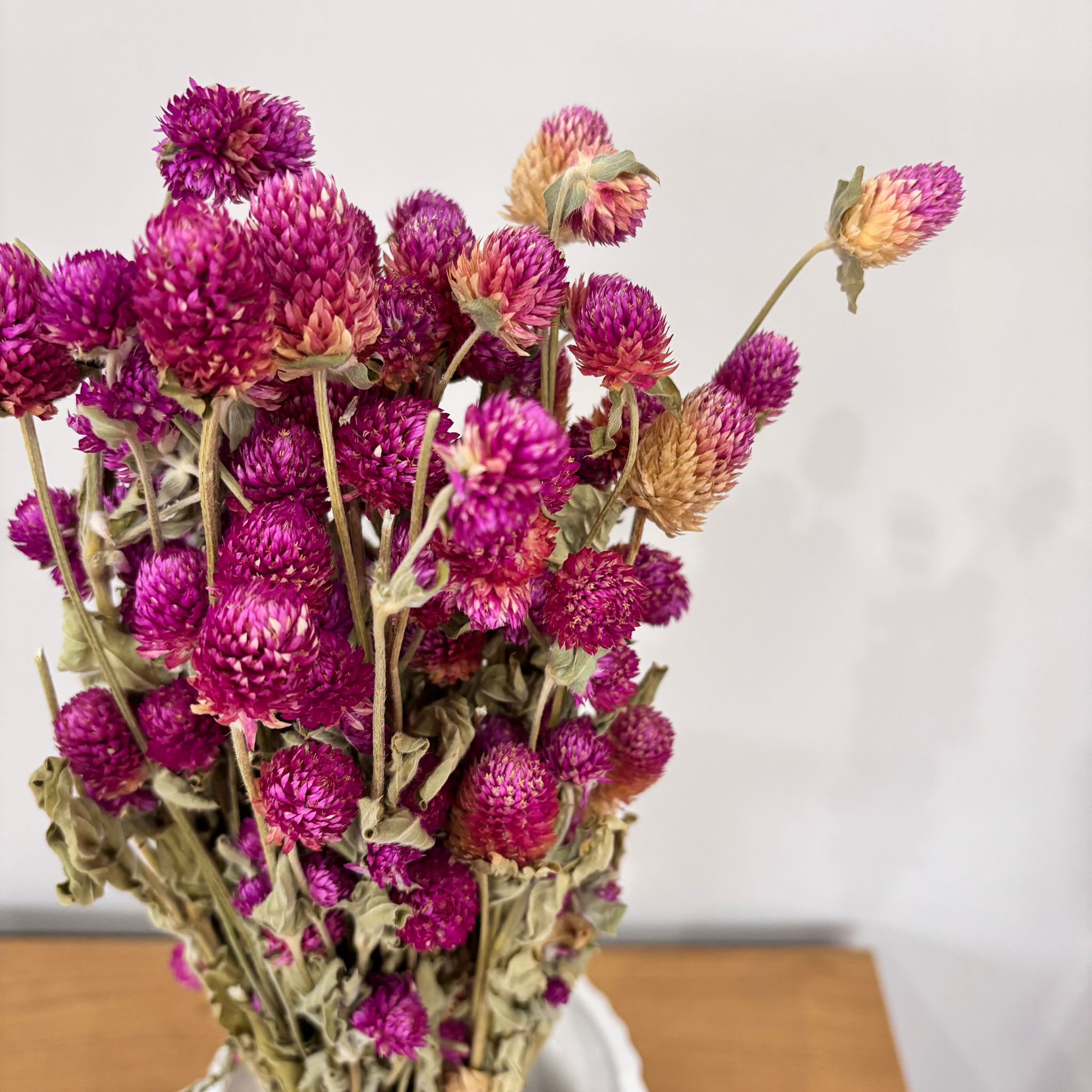 Gomphrena | big bunch