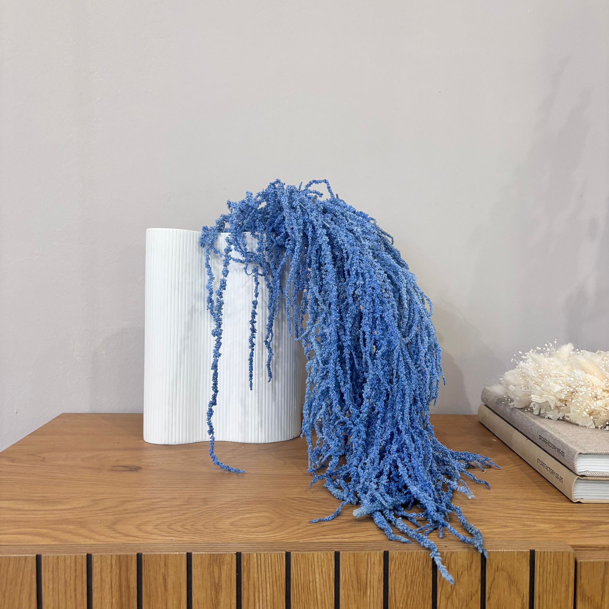 Amaranthus Stiele