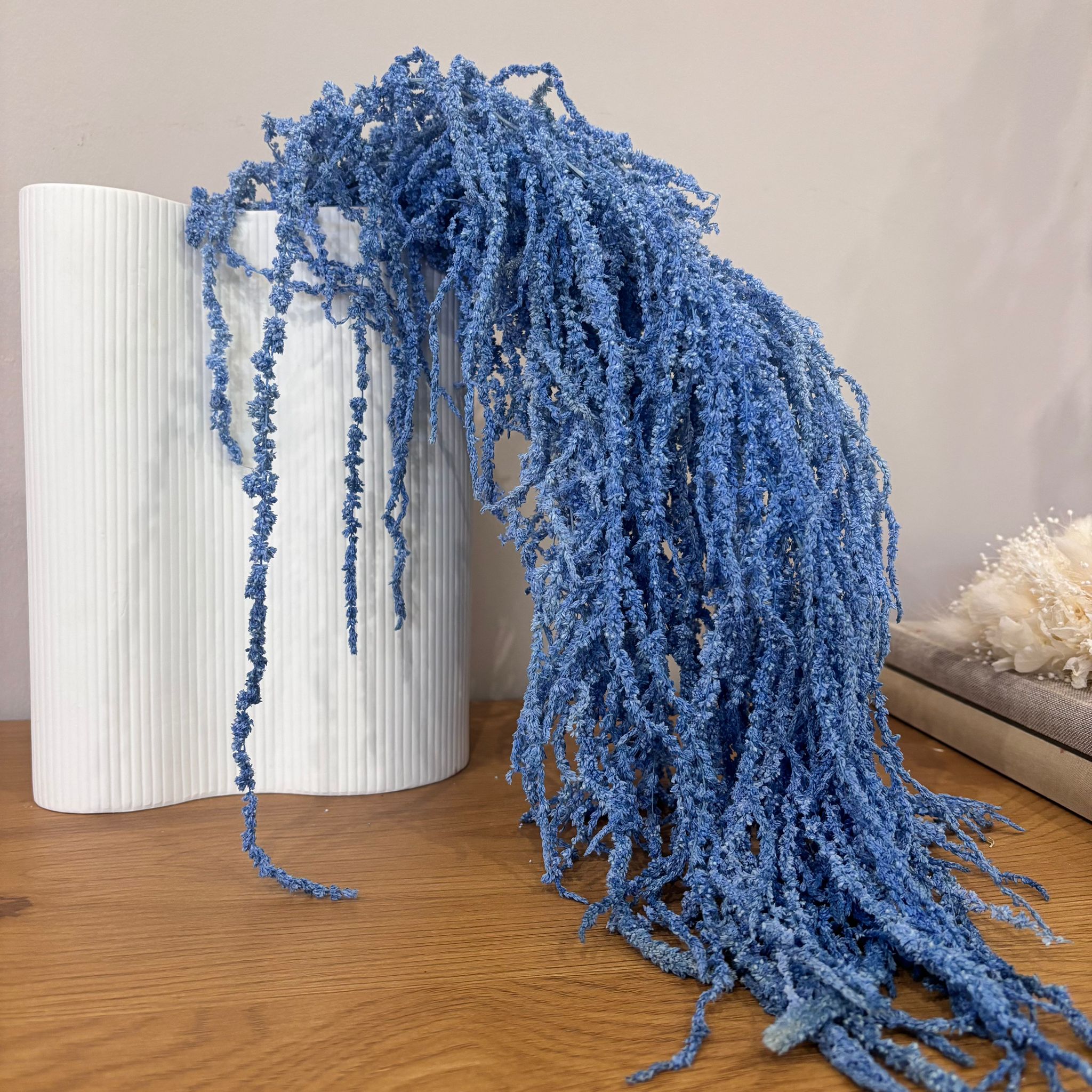 Amaranthus Stiele