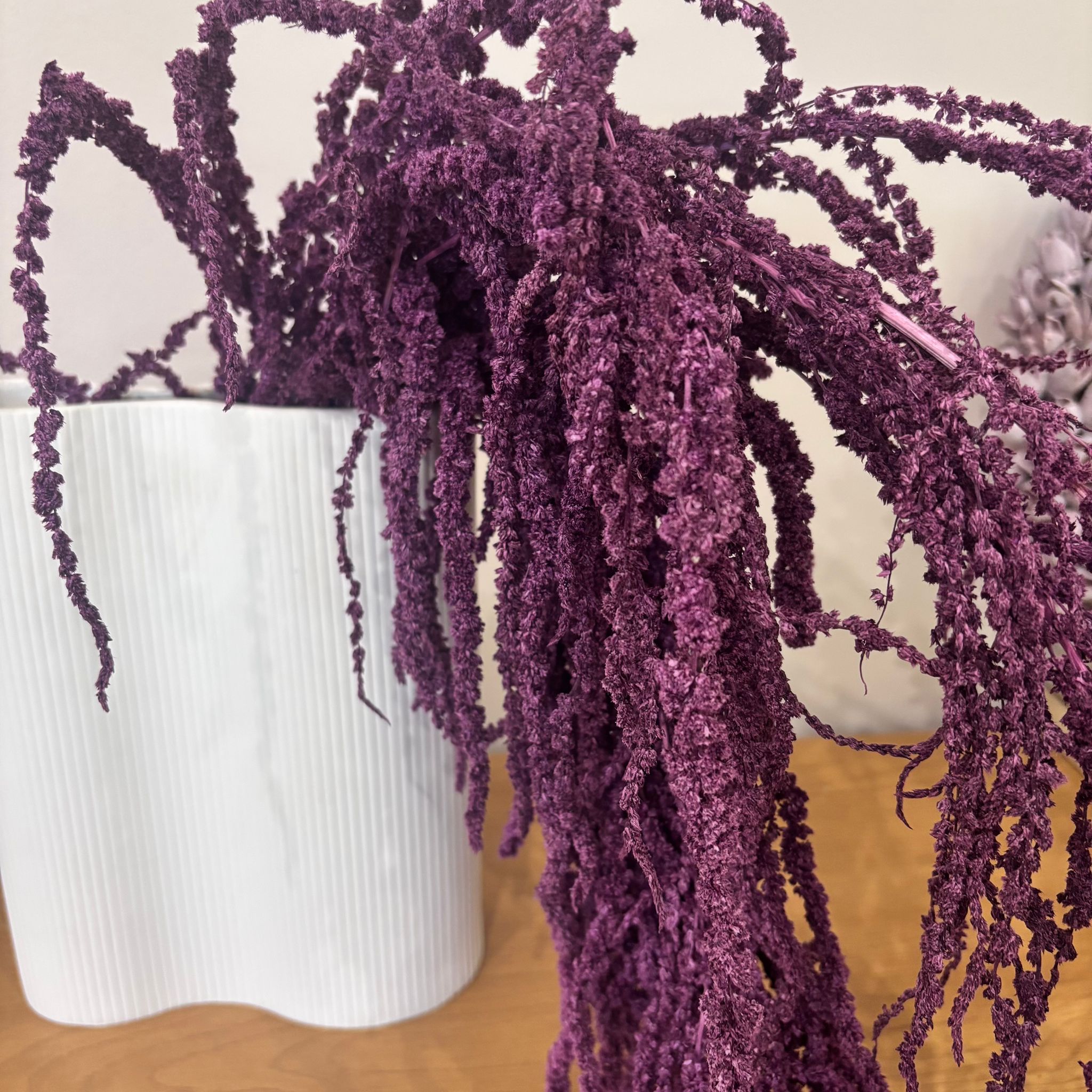Amaranthus Stiele