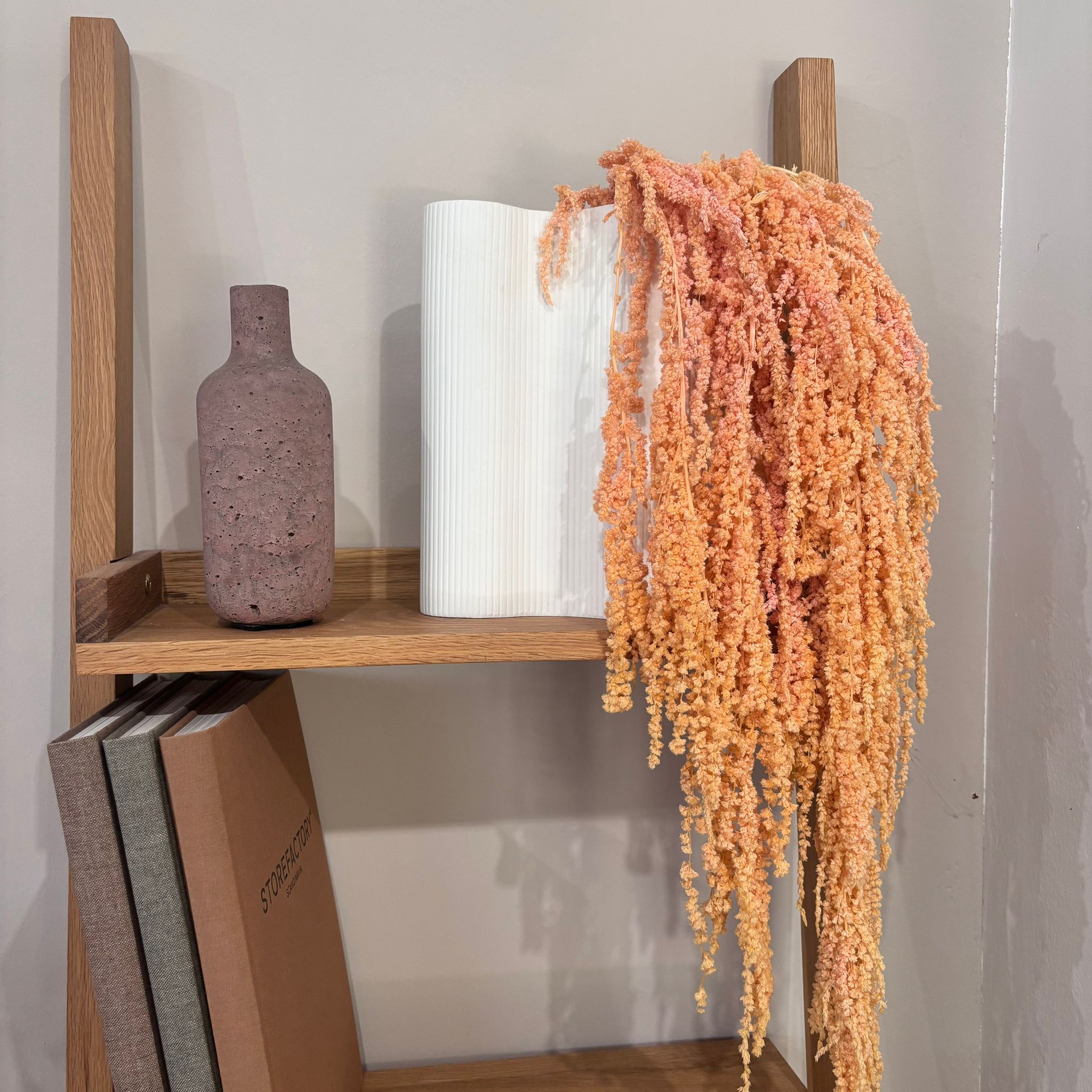 Amaranthus Stiele