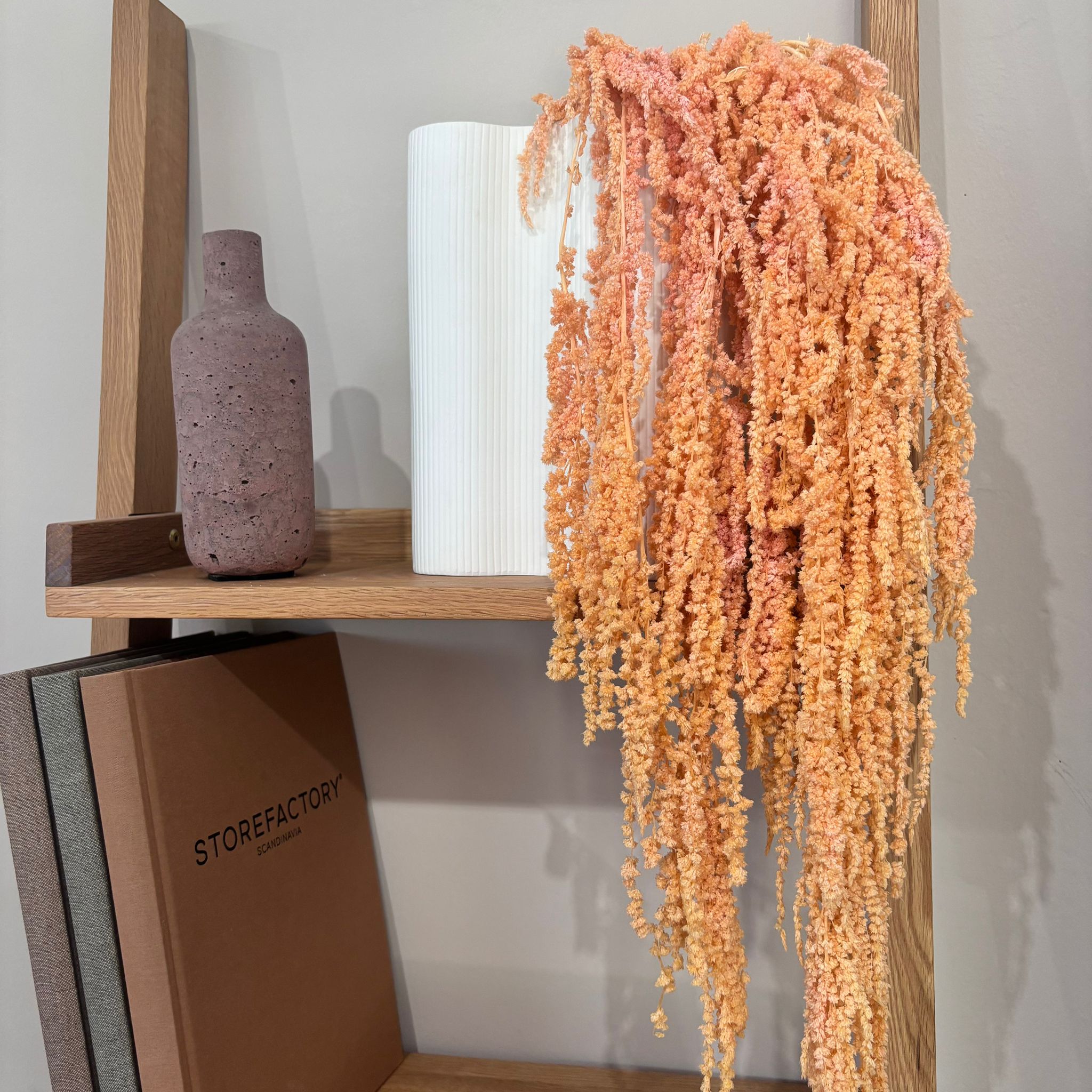 Amaranthus Stiele
