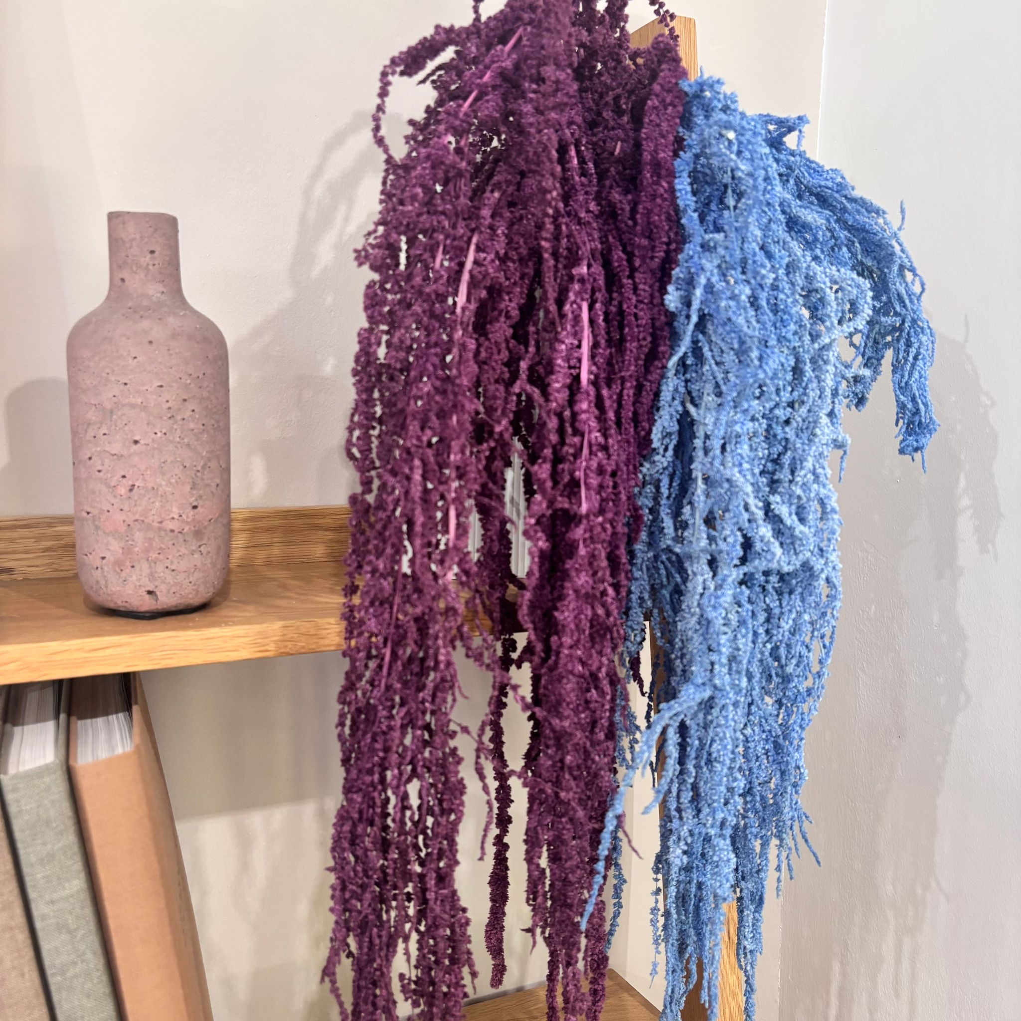 Amaranthus Stiele
