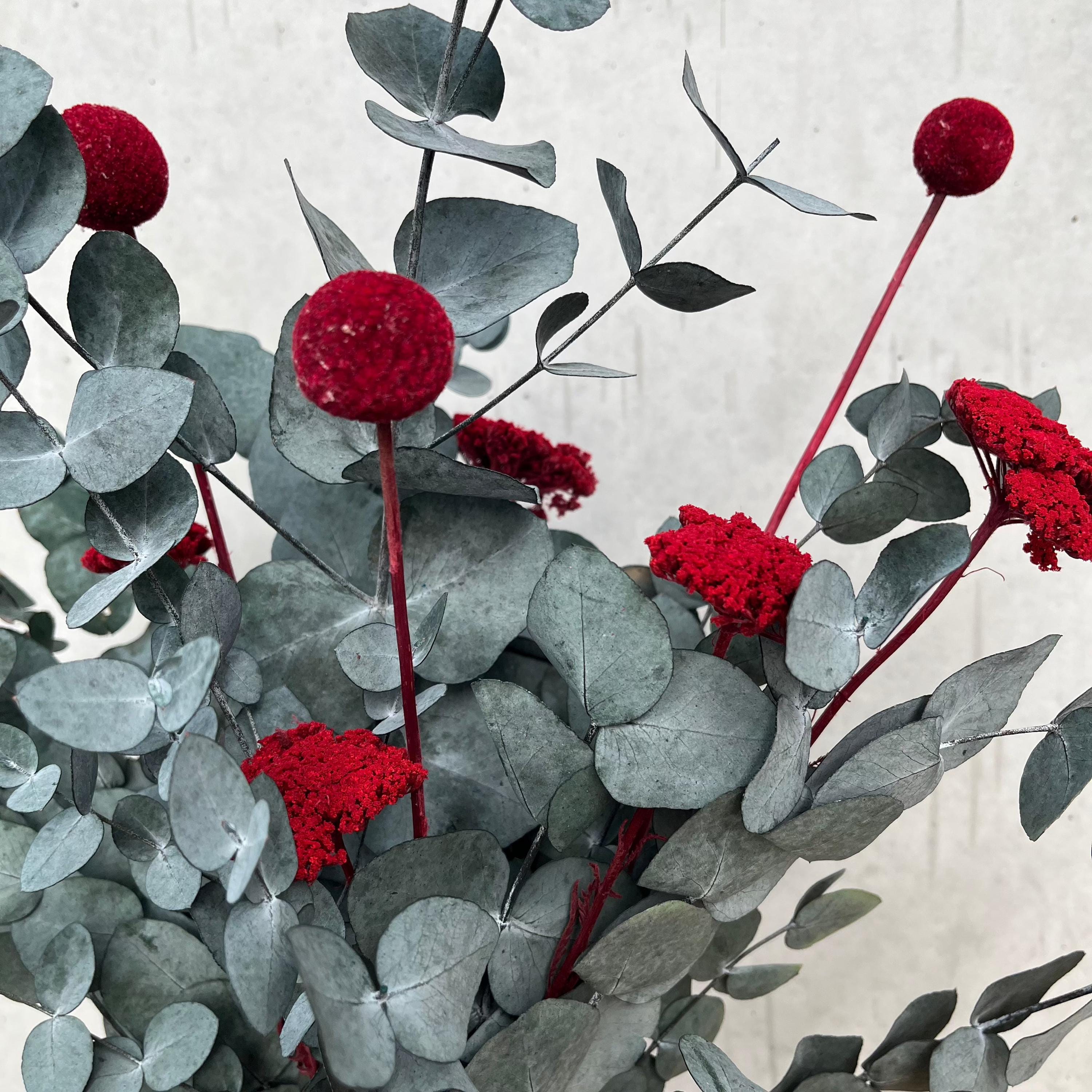 Pop of Color: Eukalyptus red - Lykke&You GmbH