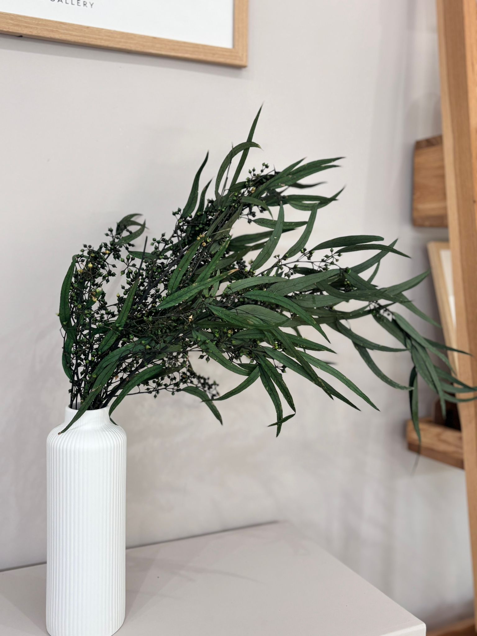 Eukalyptus Nicoly - der Kräftige -Outlet - Lykke&You GmbH