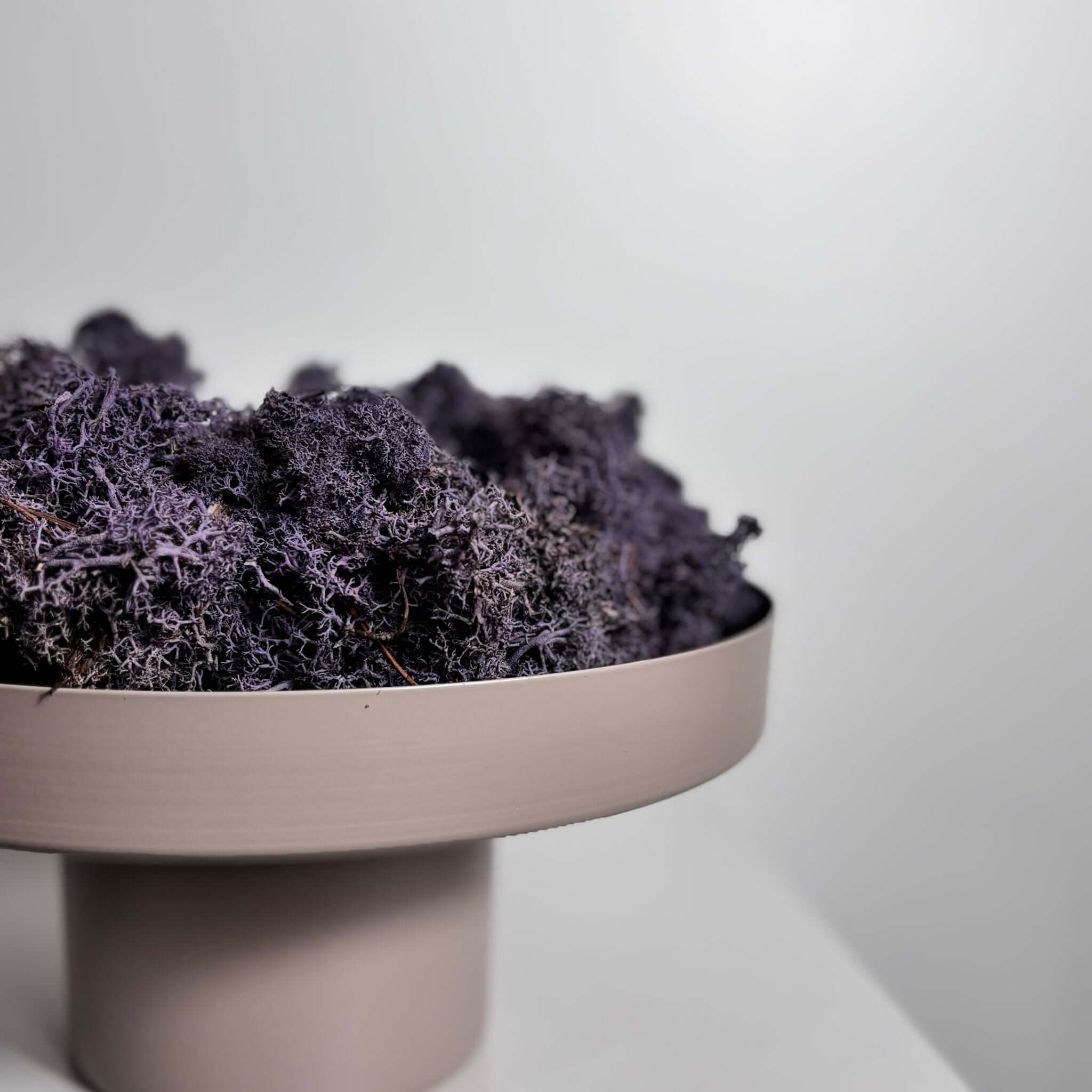 Reindeer-Moos: Isländischer Reindeermooskranz - lila - Lykke&You GmbH