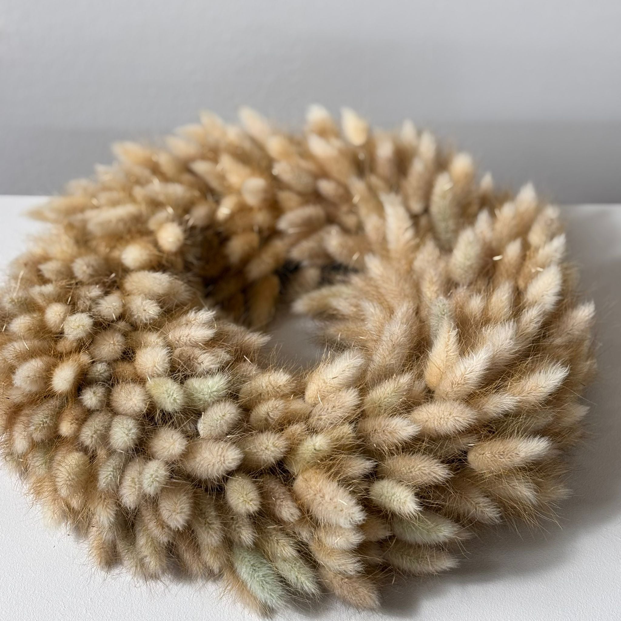 Trockenblumenkranz Lagurus beige - Lykke&You GmbH