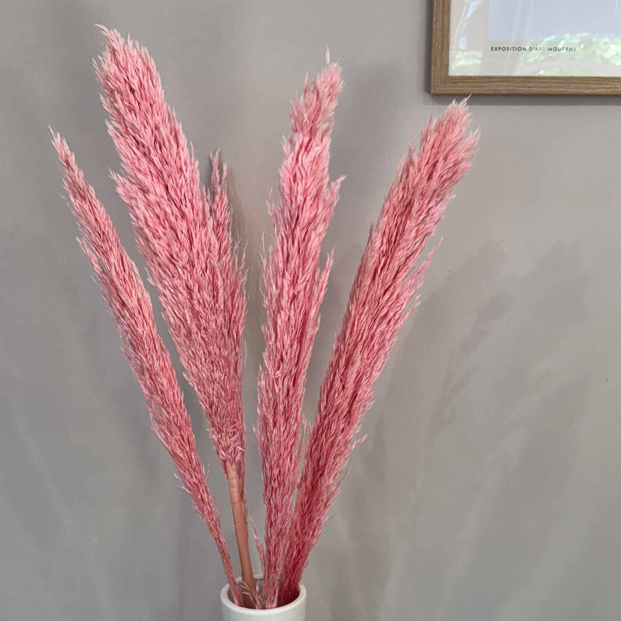 Pampasgras pink - Lykke&You GmbH
