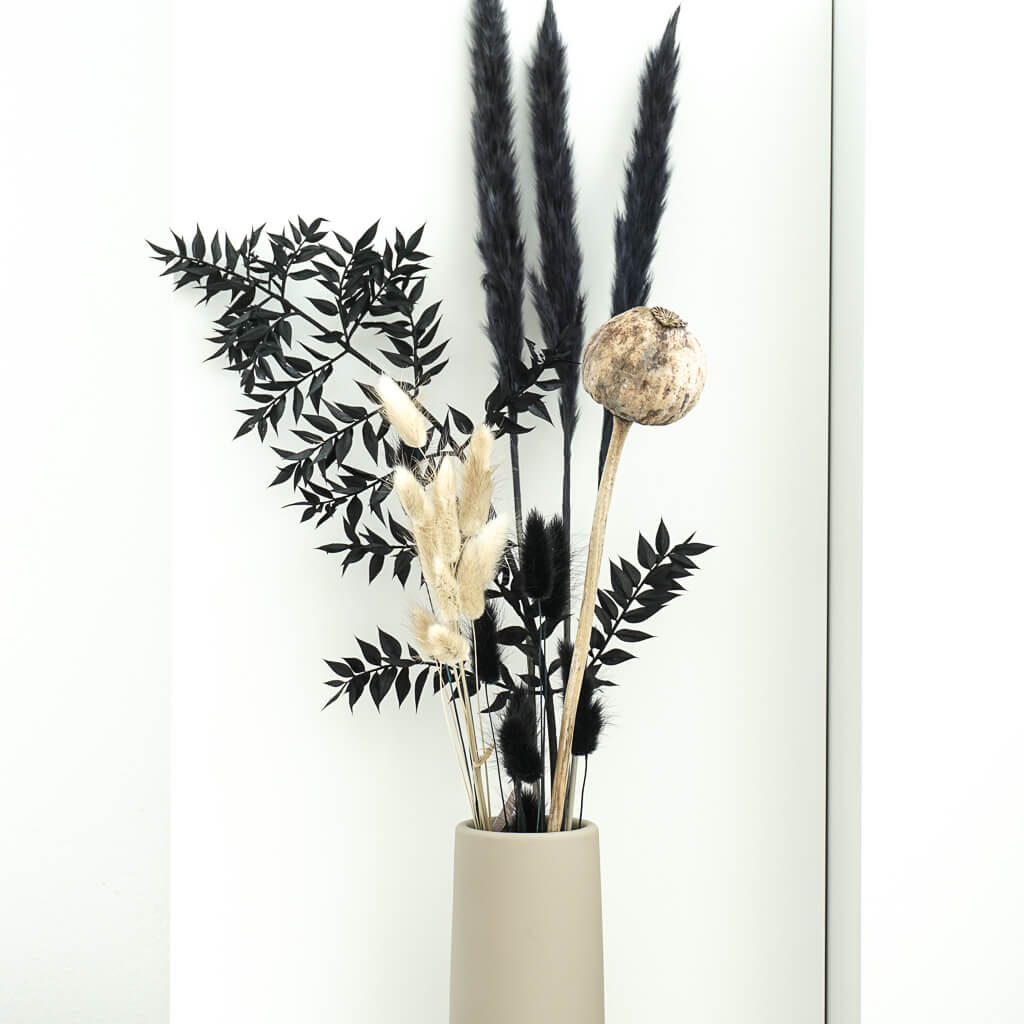 Poppy capsules Giant (Papaver): Dried poppy capsules as a timeless decoration