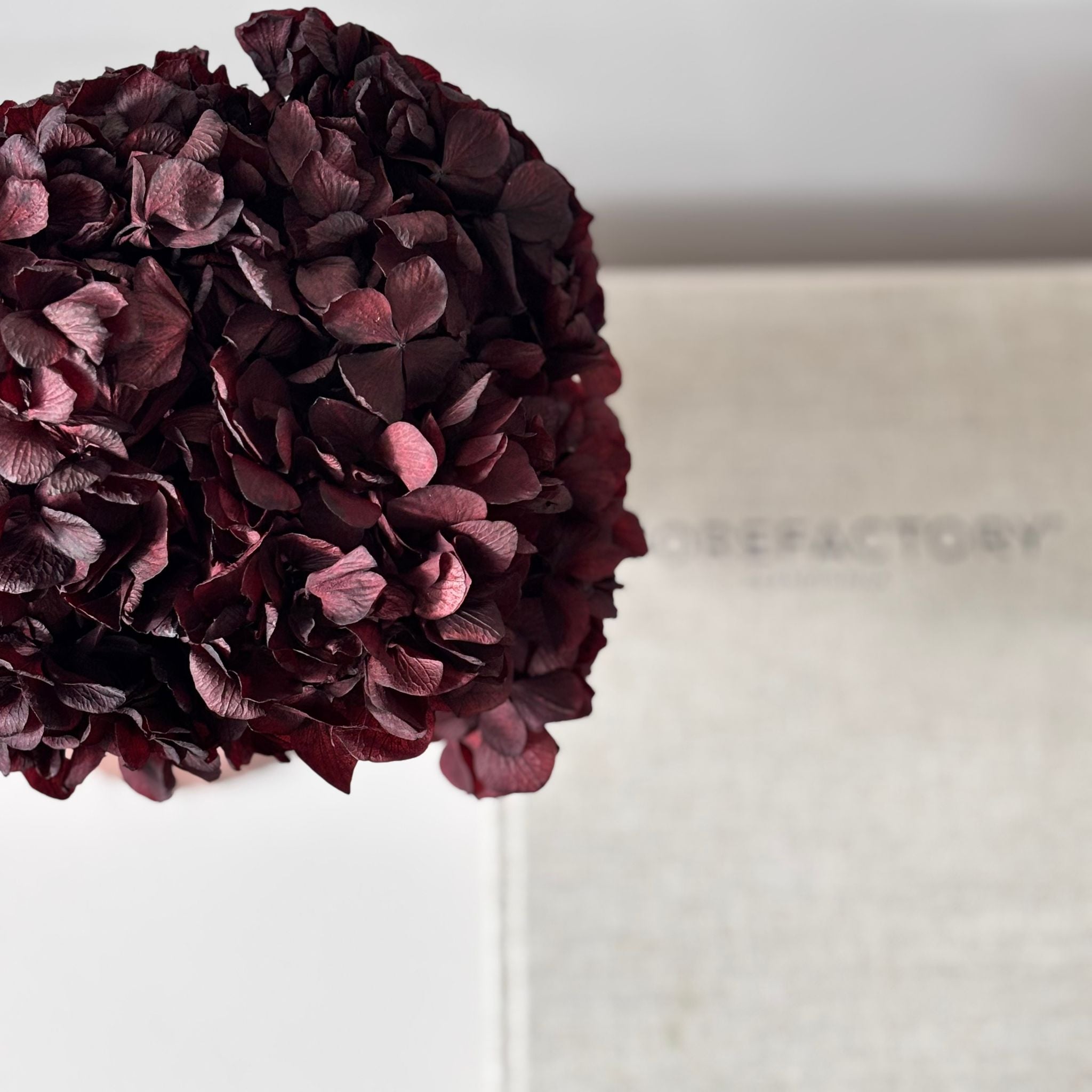 weinrot, bordeaux 30 cm