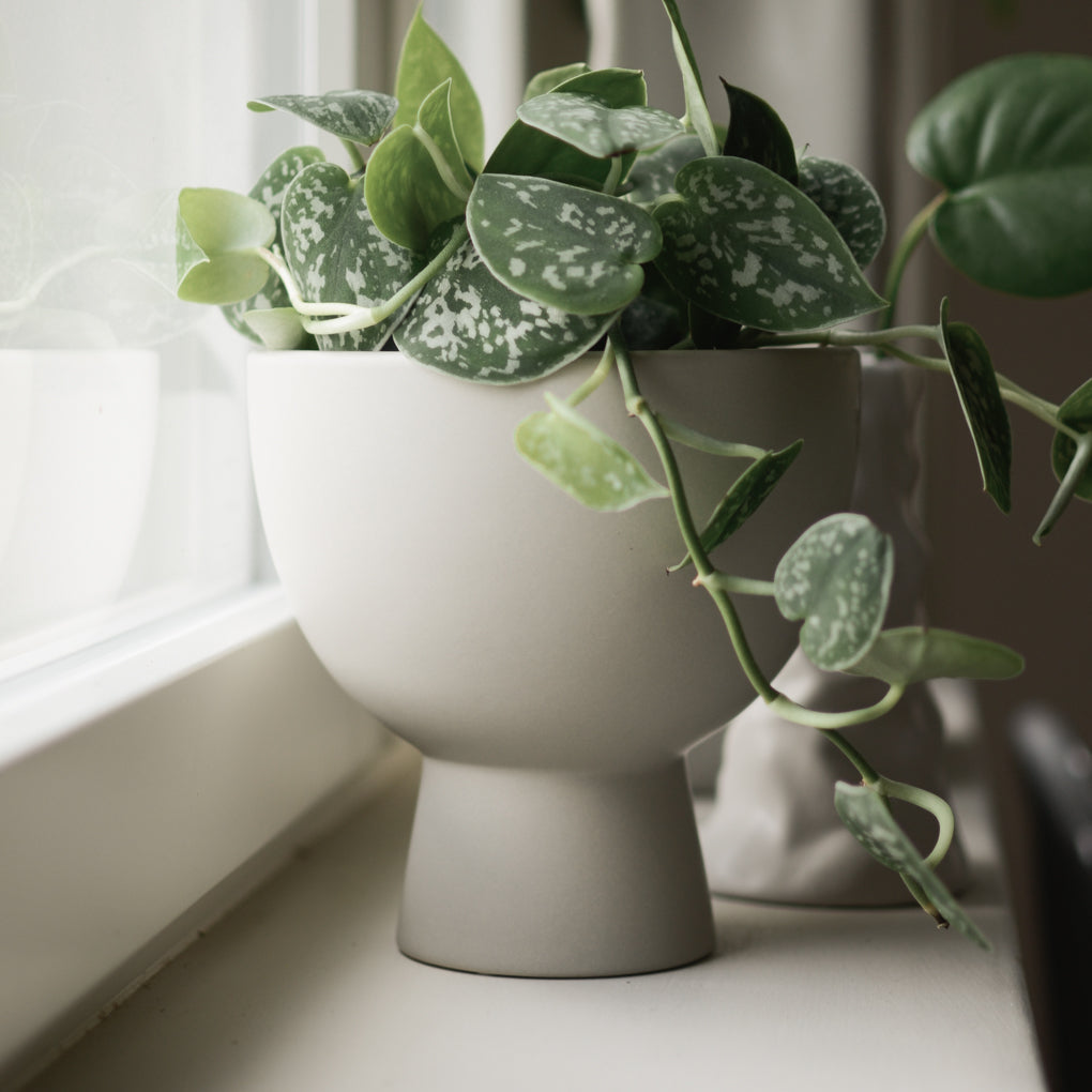 dbkd Figure Vase mit breiter Öffnung I Pot