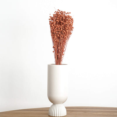 getrockneter Flachs (Linum) | 70 cm | Weiß, Rosa, Rot | für Sträuße - Farbe: terracotta