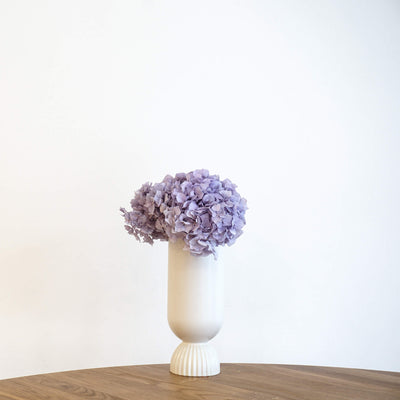 Hortensien konserviert | viele Farben | tolle Blüte | 30-40 cm - Farbe: flieder