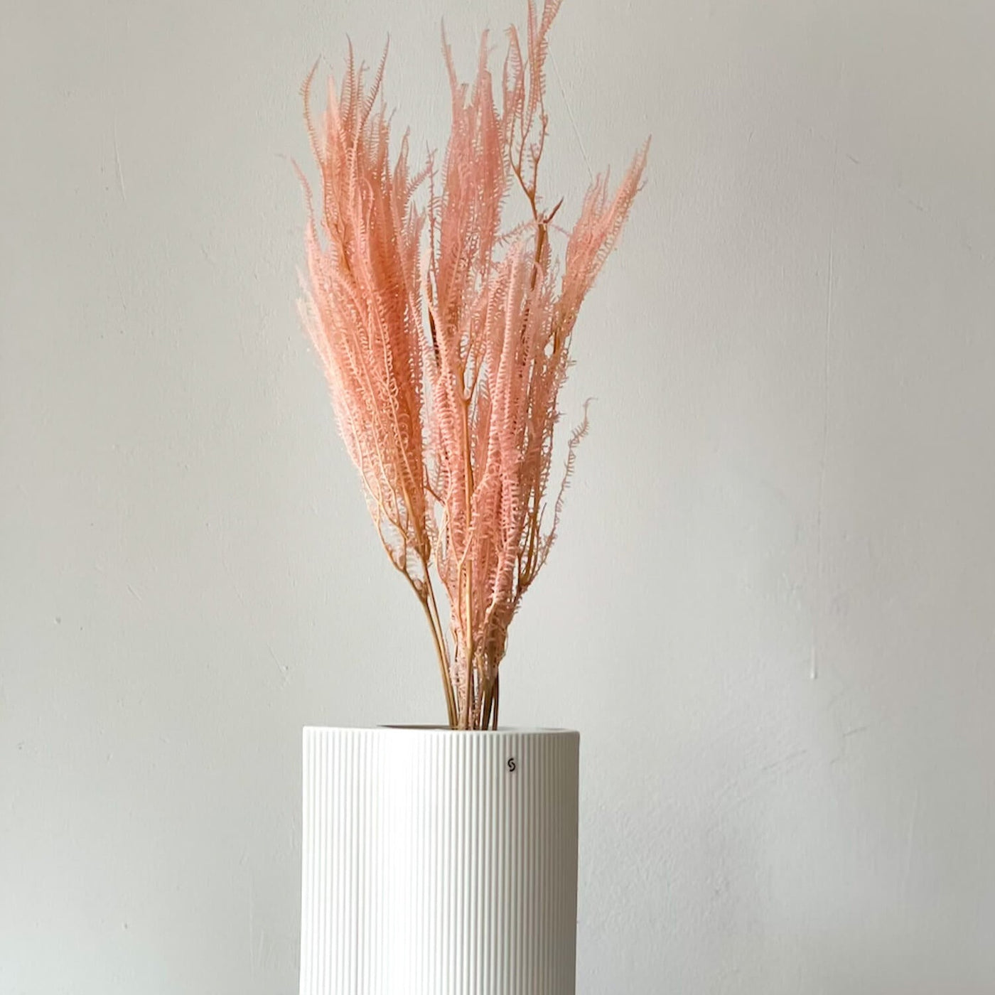 Konservierter Farn konserviert I 70 cm | weiss | rosa | pink - Größe: 6-7 Stiele - Farbe: pink