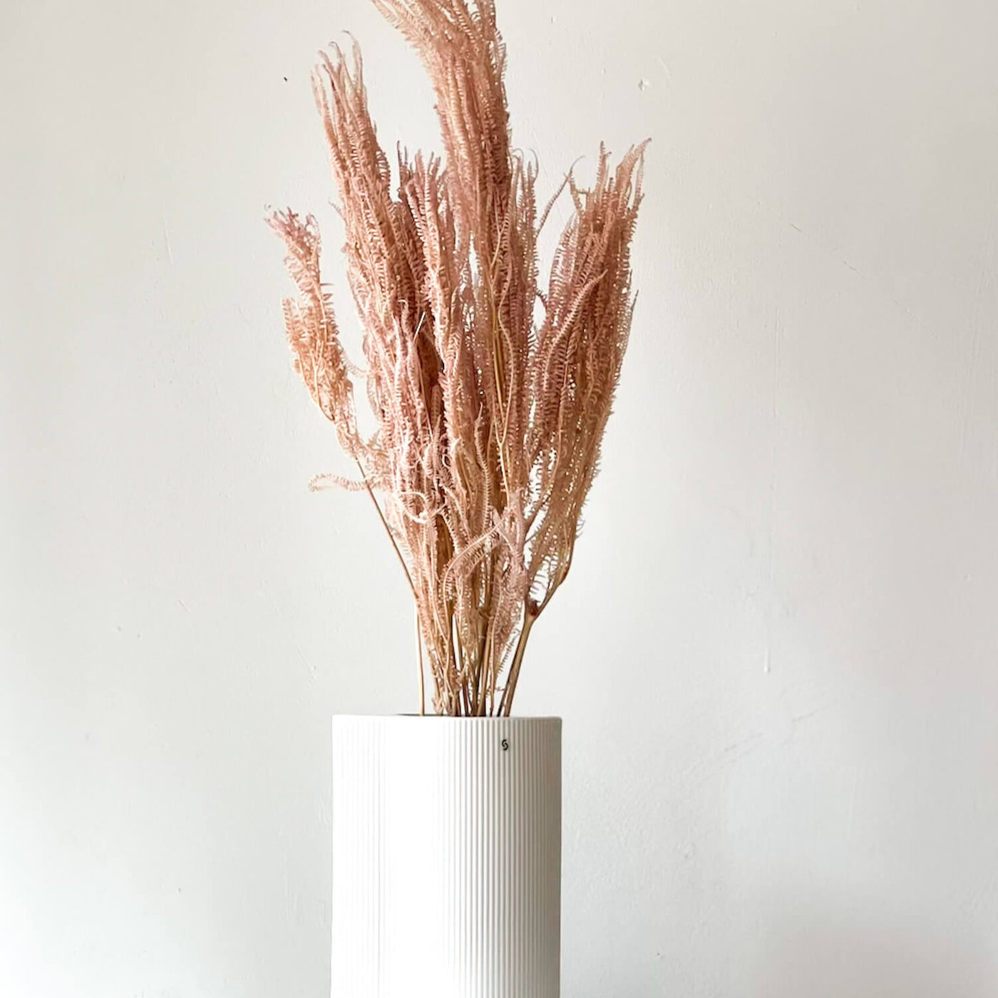 Konservierter Farn konserviert I 70 cm | weiss | rosa | pink - Größe: 6-7 Stiele - Farbe: rosa