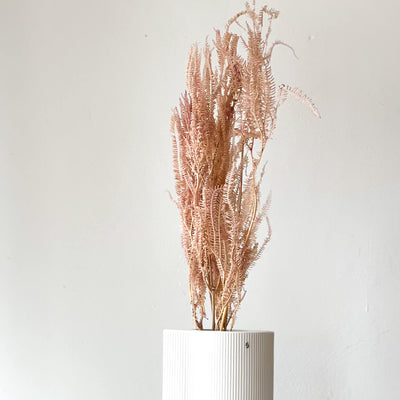 Konservierter Farn konserviert I 70 cm | weiss | rosa | pink - Größe: 3-4 Stiele - Farbe: rosa