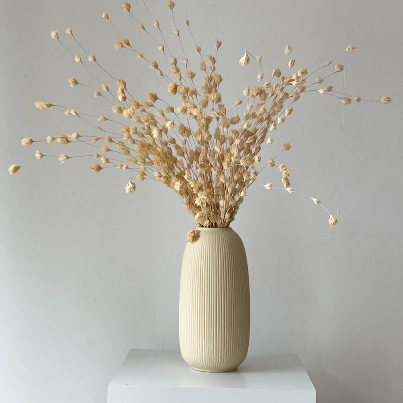 Bambusblüten getrocknet | 45 cm - Größe: groß - Farbe: weiß