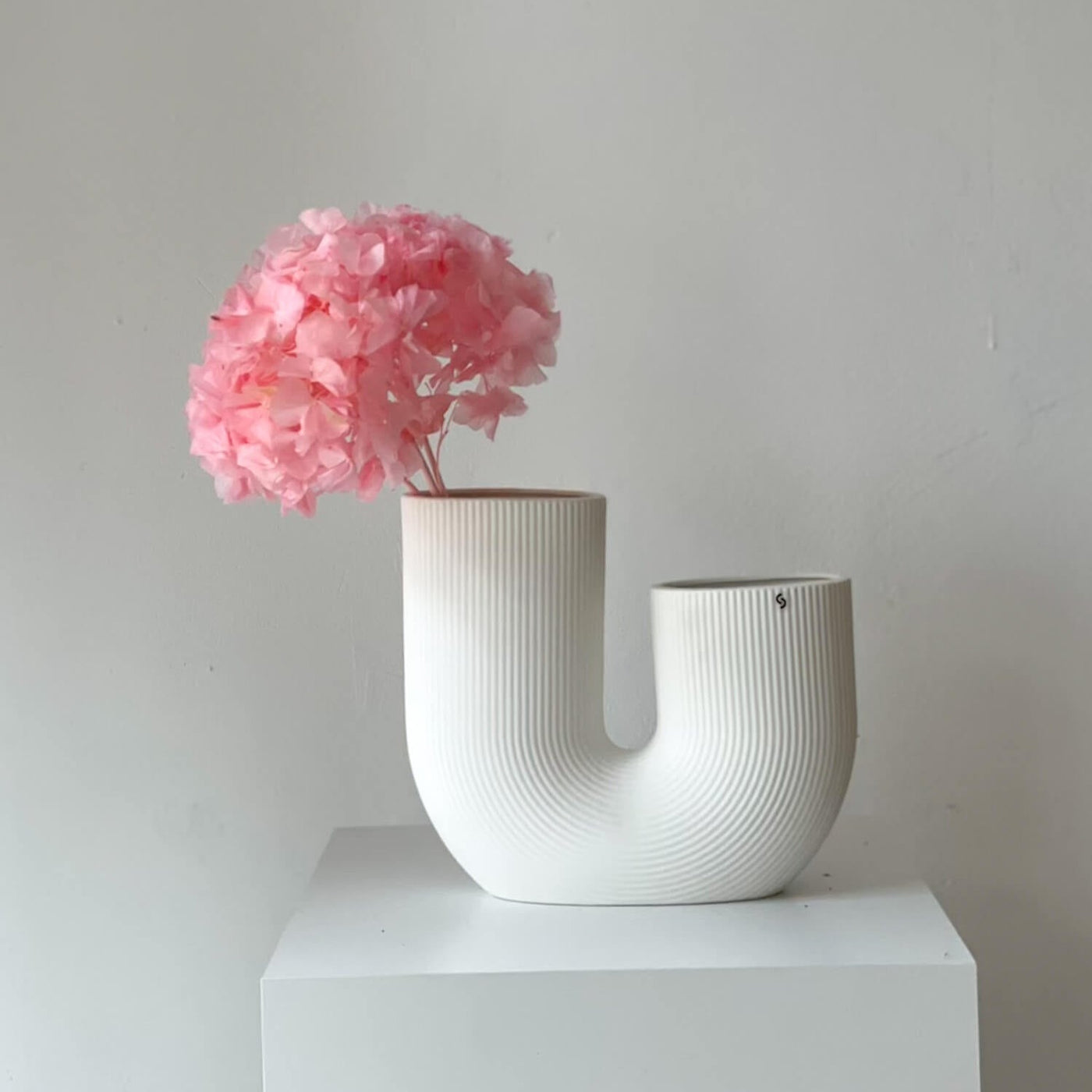 Hortensien konserviert | viele Farben | tolle Blüte | 30-40 cm - Farbe: pink