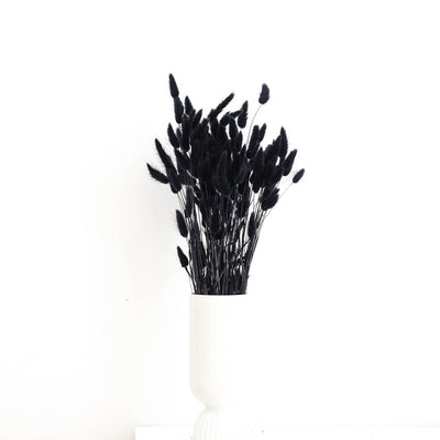 Lagurus (Samtgras) | 70 cm | viele Farben | für Trockenblumensträuße - Farbe: schwarz