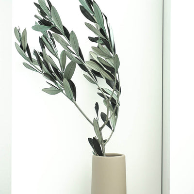 Olivenzweige grün | 60-70 cm | 1 großer Bund | aus Italien | konserviert - Größe: klein (1-2 Stiele)