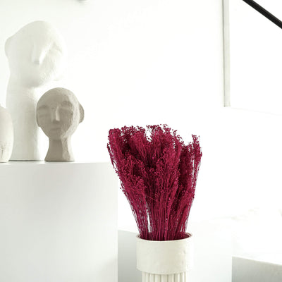 Broom Bloom | 40-50 cm | viele Farben (rot, fuchsia, pink u. weiß) - Farbe: fuchsia