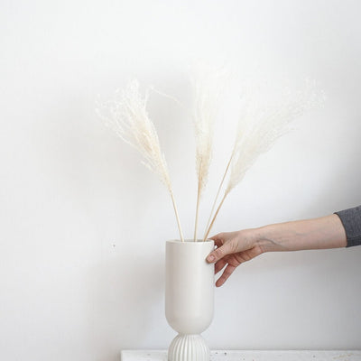 Getrocknetes Reedgras | extra fluffig | weiß, beige, natur, lila | 60 cm - Größe: groß, klein