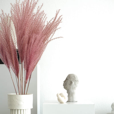 Getrocknetes Federgras | Miscanthus natur I 70 cm I Bund oder Einzeln - Größe: 5 Stiele - Farbe: pink