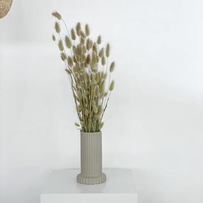Lagurus (Samtgras) | 70 cm | viele Farben | für Trockenblumensträuße - Farbe: natur