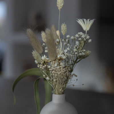 Trockenblumenstrauß Mini Wildblume weiß | 20 - 30 cm - Lykke&You