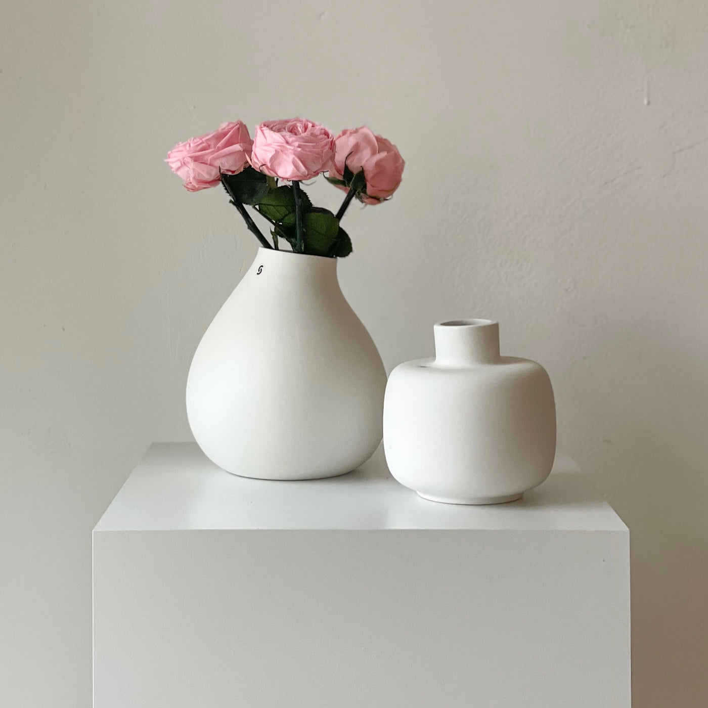 Konservierte englische Rose | 30 cm | weiss | rosa | edel | haltbar - Größe: 3x - Farbe: rosa